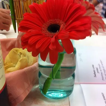 Rosy 3* Rimini