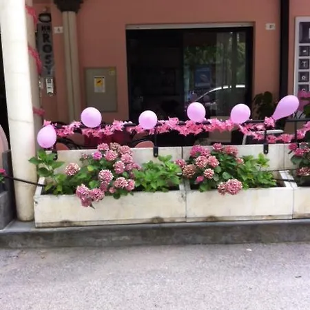 Hotel Rosy 3*