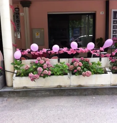 Hotel Rosy 3*
