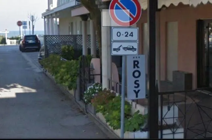 Rosy Hotel 3*