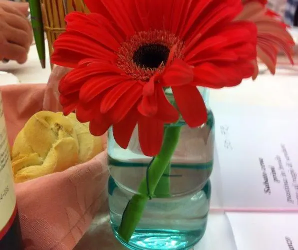 Rosy 3* רימיני